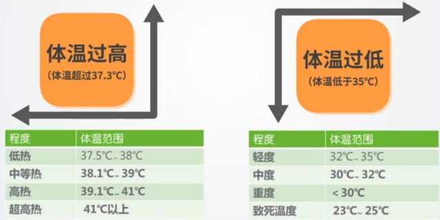 怎样看体温表，怎样看体温表甩好（居家生命体征测量—体温）