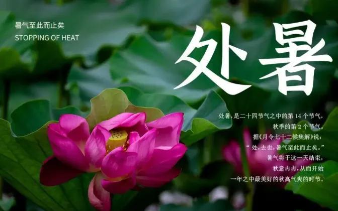处暑意味着什么，处暑意味着什么变化（“处暑不出伏）