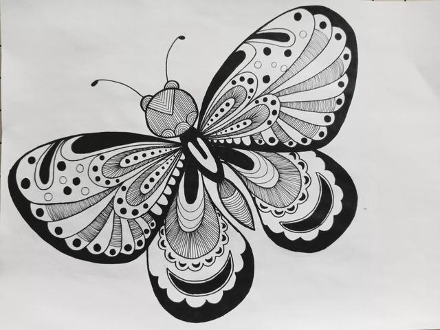 蝴蝶怎么画简单好看，如何画一个简单蝴蝶（《蝴蝶》线描画绘画过程）