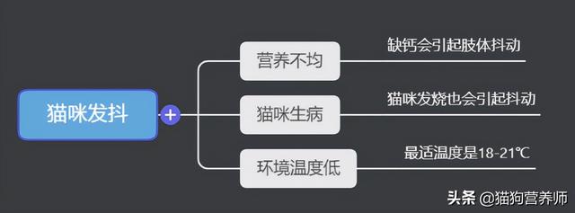 猫间歇性轻微发抖是怎么回事，猫咪间歇性发抖（猫咪身体抖动有三个原因）