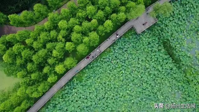 扬州历史文化景点，扬州最容易被忽视的古城遗址