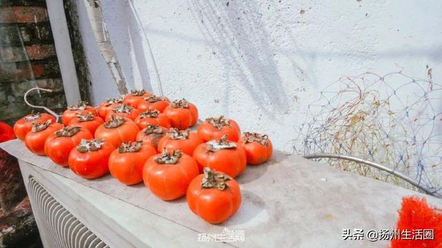 扬州市哪个区比较繁华，扬州市哪个区比较繁华点（你好，瓜洲，重新认识一下）