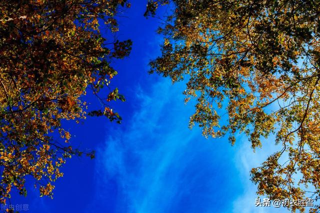 立秋诗词名句 关于立秋的古诗四句，立秋诗词名句（立秋节气美诗七首：倏忽徂炎罢）