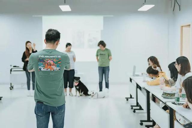 宠物训导师，宠物驯导师：有人年入百万（宠物师培训）