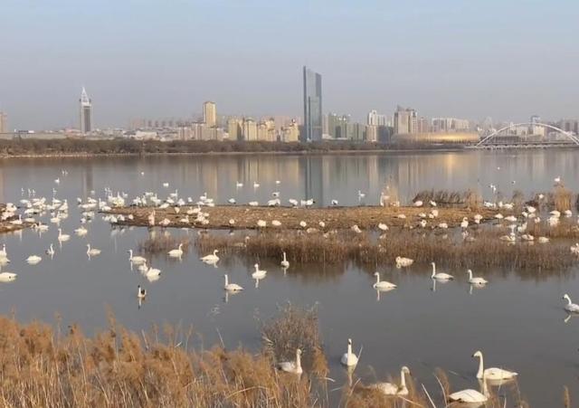 三门峡附近游玩景点推荐，河南三门峡出发自驾2日游好去处攻略推荐