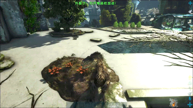 方舟生存进化鱼龙怎么驯服，方舟生存进化鱼龙驯服度下降（生存进化》必驯生物攻略）