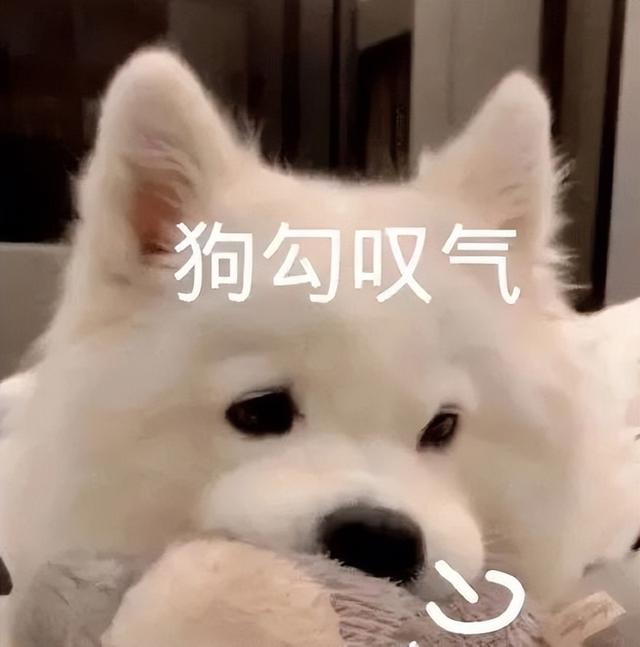 世界上有没有美人鱼，世界上有美人鱼吗（原来美人鱼是真实存在的）