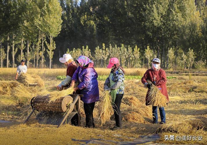 为娘指的是什么意思，有“为娘”这是词吗（陕西农村妇女为啥用“长子的名字”称呼她丈夫）