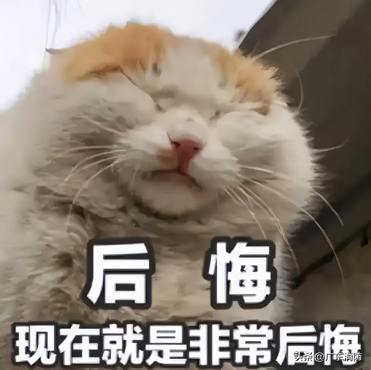 发热包为什么禁止热水，发热包为什么禁止热水,用破损的自热包煮的饭还能吃吗（把发热包也扔进去一起煮了）