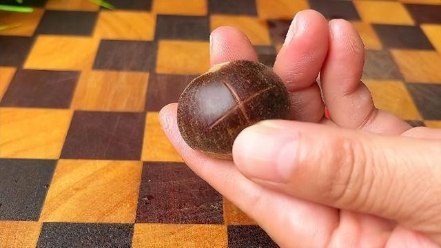 怎样把板栗从树上取下来—怎样得到好的板栗，板栗怎么取出来（板栗快速去壳的小妙招）