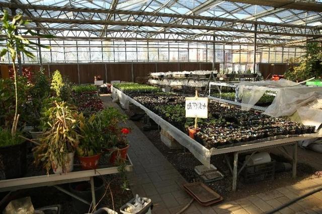 农业大学都有什么专业，内蒙古农业大学都有什么专业（将培养急需紧缺人才）