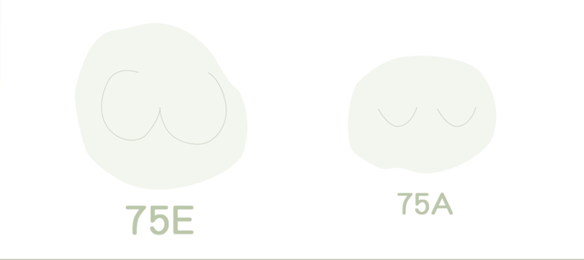 罩杯大小排列顺序，罩杯大小的顺序依次是多少（原来女生的胸部形状有那么多种）