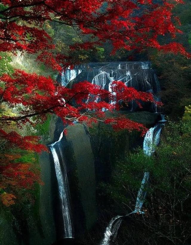 秋天是一个什么样的季节，秋天是一个什么样的季节写一段话（分享绝美秋色：叠翠流金）