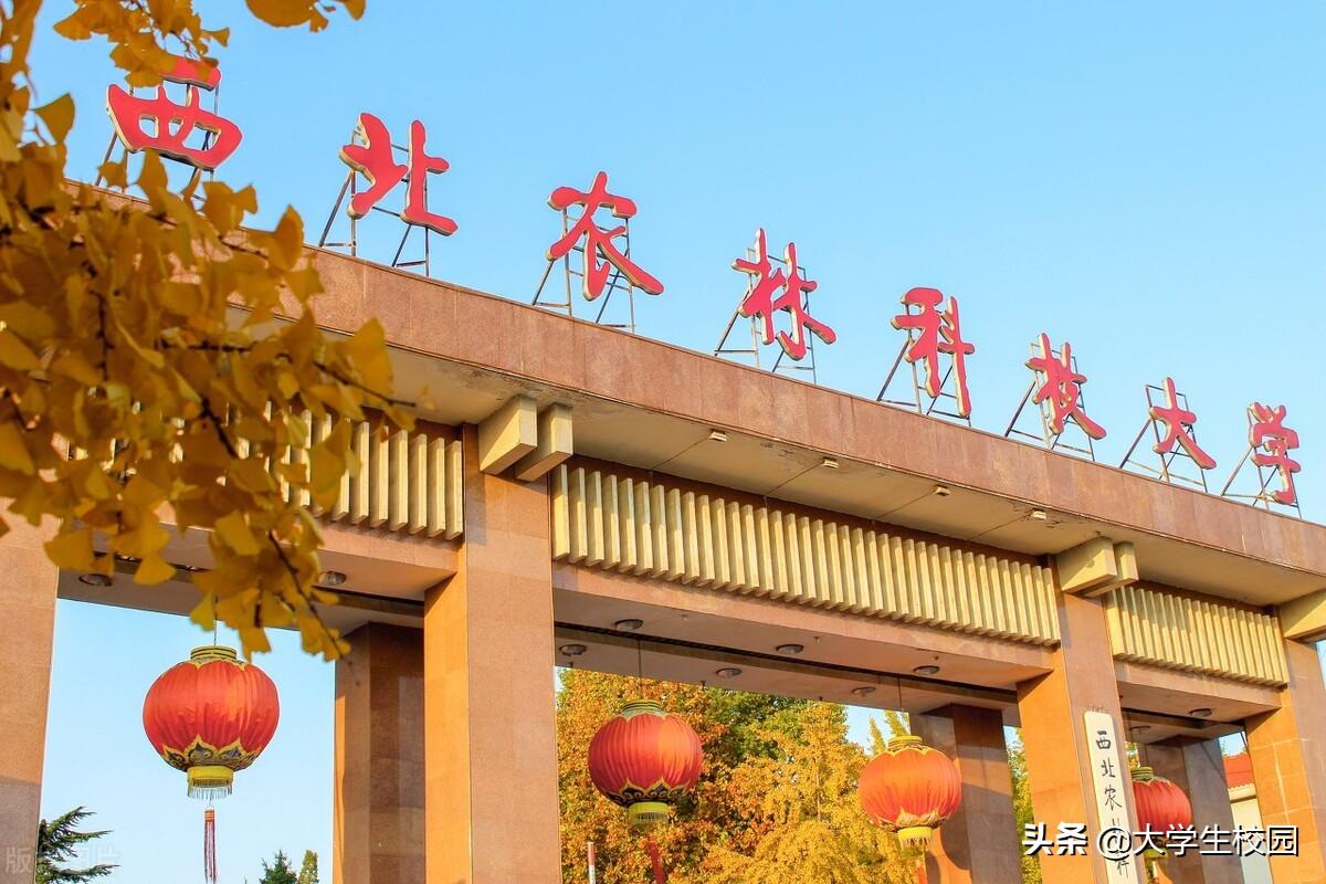 西安科技大学排名（2022陕西省大学排名）