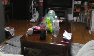 大白鼠和花枝鼠，大白鼠图片（原来有老鼠不脏不臭）