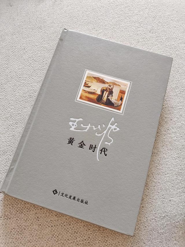 黄金时代王小波(黄金时代王小波完整版)