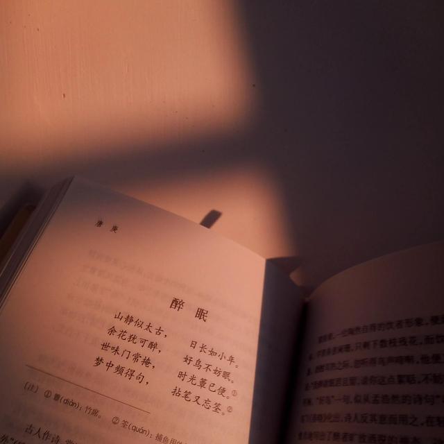 日落在爱情里的寓意，黄昏在爱情里代表什么（再见和日落的寓意都是未完待续）