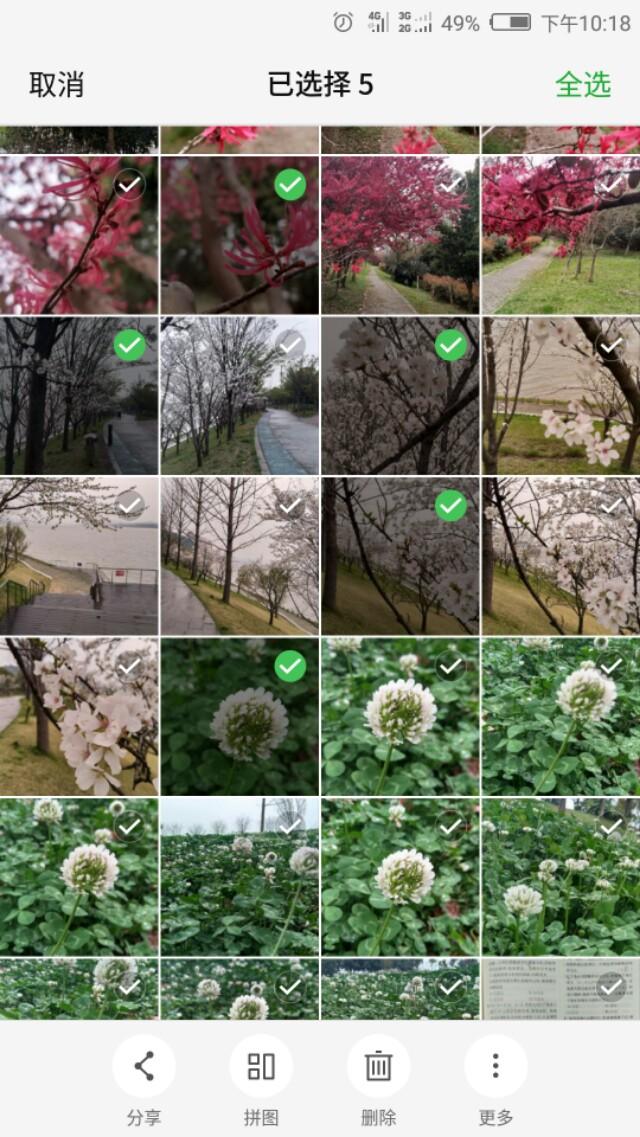 相册拼图怎么拼，oppo手机相册怎么拼图（如何用手机把多张图片合成一张）