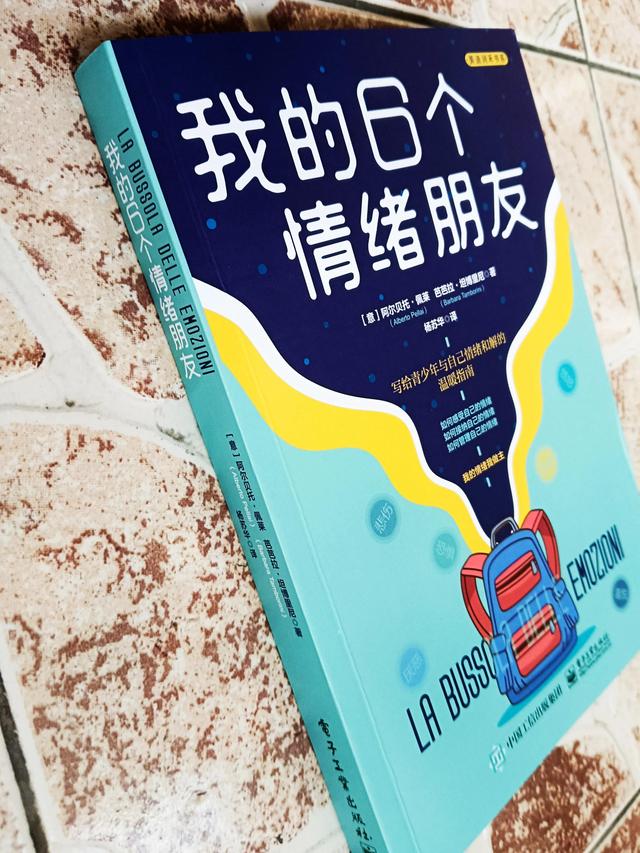 脑发育最关键时期是，孩子大脑发育的关键时期（了解情绪背后的各种因素）