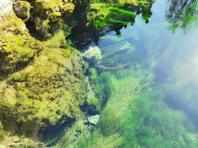 山东省济宁市泗水县，泗水县属于哪个市（走进“中国最美县域”泗水）