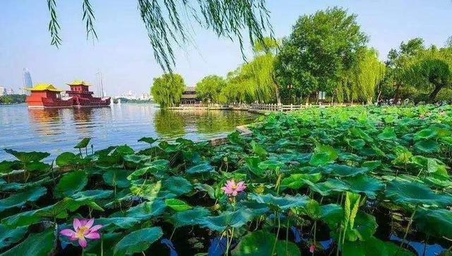 武汉，武汉纺织大学外经贸学院偷电（ 厦门为何成为苏轼的遗憾之地）