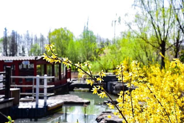 江苏徐州旅游景点，徐州市内的旅游景点（这一份“攻略”快收藏起来）