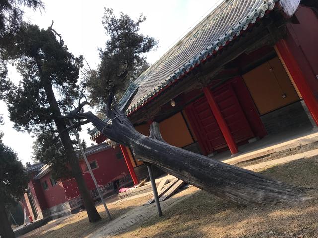 弥高是什么意思，钻之弥坚仰之弥高是什么意思（重游孔庙之—：孔庙的石坊庙门）