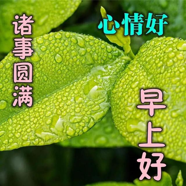 最新温馨早安心语，2019最温馨的早安心语（朋友圈早晨好问候语句）