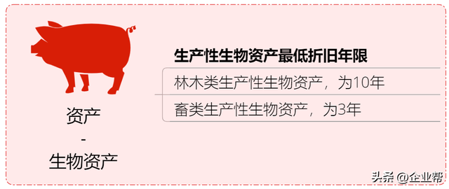 企业税怎么算，企业所得税怎么征收几个点（终于有人把我讲清楚了）