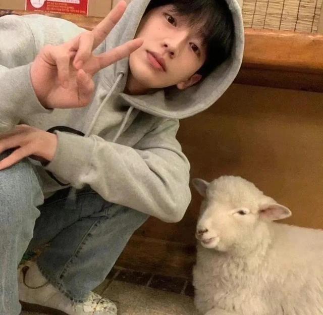 适合男人用的微信头像有哪些，好看的微信头像男人专用 个人私藏(2)（而不是解释自己）