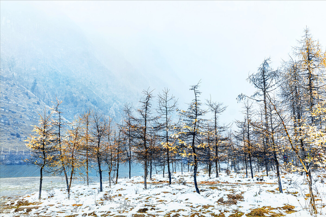 冬月吃什么，冬月吃什么水果（大雪时节要懂得“藏”）