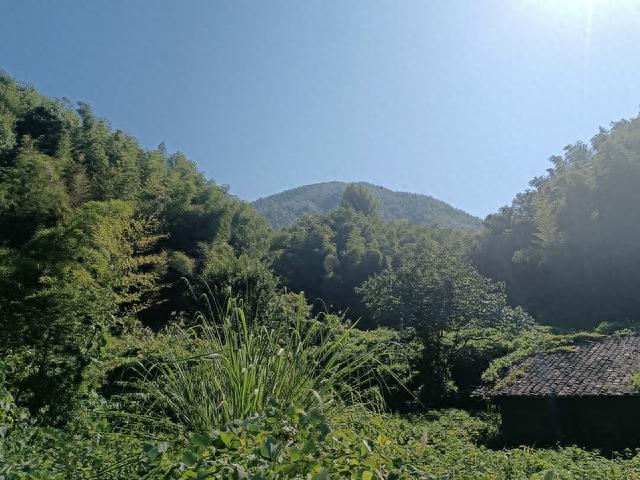 马蹄的脚印长什么样，遂川地名传说——“马迹”的由来