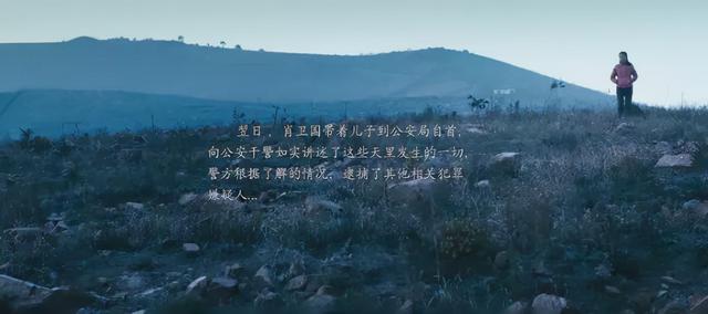 烈日灼心真实事件原型，烈日灼心故事原型（连葛优都救不了的烂片）