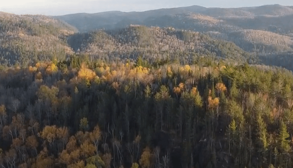 怎么把视频做成动态壁纸，安卓怎么把视频做成动态壁纸（如何将视频设置为电脑动态壁纸）