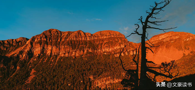 如何推销自己的产品，如何正确快速的推销产品（卖自己喜欢的产品）