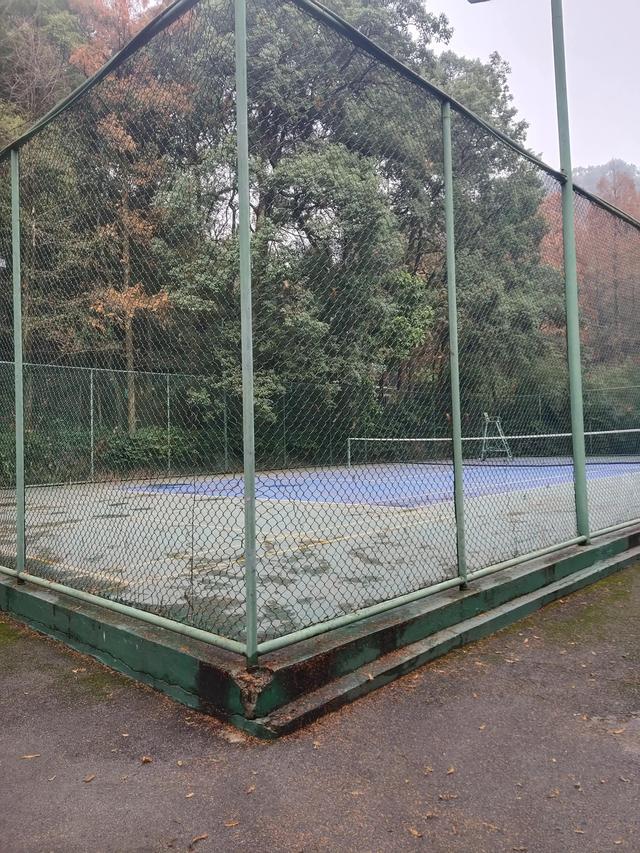 歌乐山森林公园，重庆旅游必去景点（歌乐山国家森林公园）