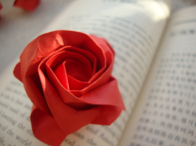 怎么用纸剪花朵，怎么用纸剪花朵视频（玫瑰花的折法）