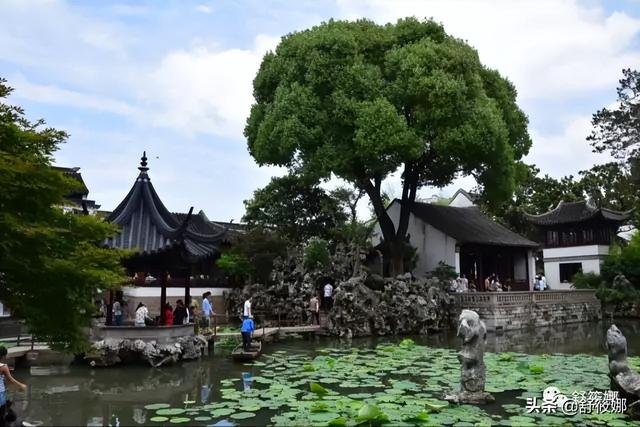 狮子林简介，狮子林简介和历史（苏州园林-狮子林）