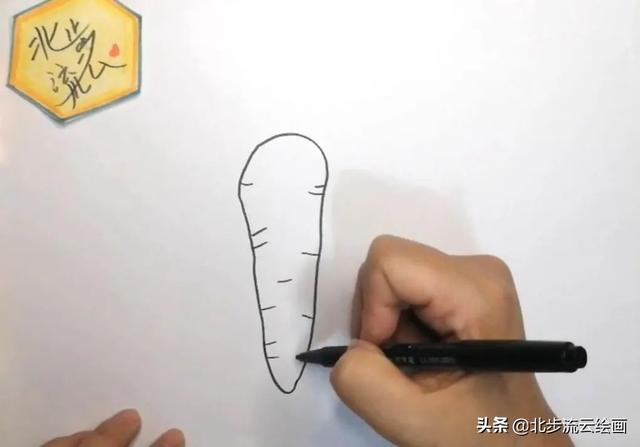 胡萝卜的简笔画，胡萝卜简笔画怎么画（胡萝卜简单的绘画步骤）