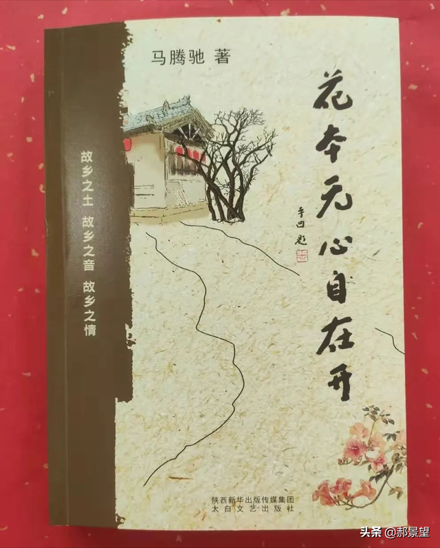 梨瓜怎么吃，西瓜能怎么吃（马腾驰//白兔娃梨瓜）