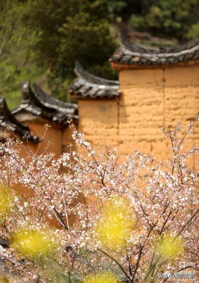 松阳县旅游景点，古韵松阳——江南最后的秘境