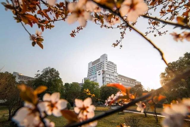 河北医科大学是985还是211，河北医科大学是几本是211吗（不是211也不是双一流）