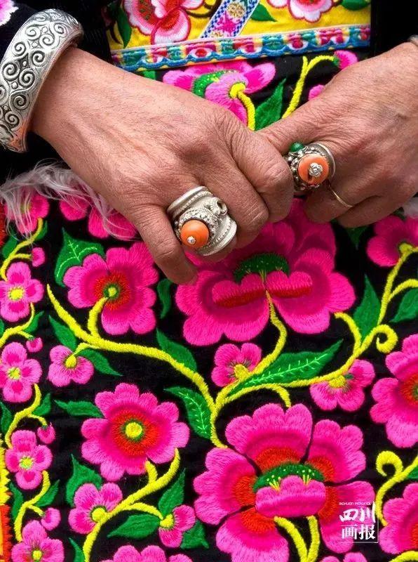 用来比喻爱情的动物，用动物比喻爱情的句子（也该成为四川人的恋爱标配）