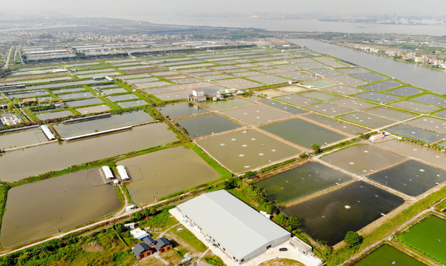 养鱼塘是什么意思,女生的鱼塘是指什么(是传统养殖利润的三倍)