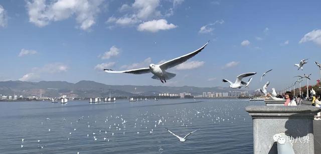 昆明旅游景点，昆明旅游景点一日游（昆明必打卡的30个小众上镜地）