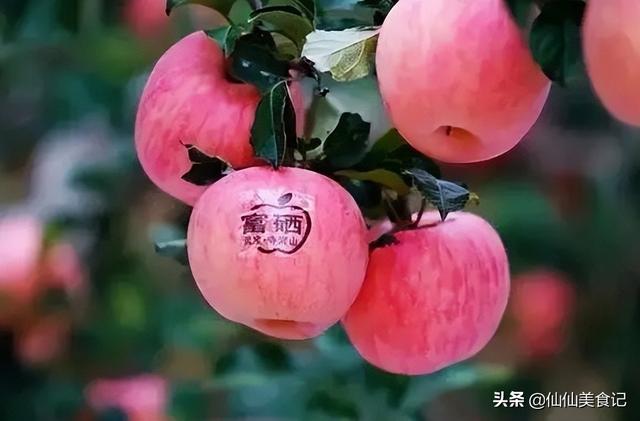 哪种形状的苹果好吃，苹果哪样的好吃（这4个地方还不错）