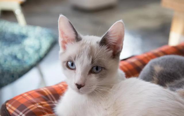 10公斤托运大概多少钱,飞机托运10公斤多少钱(过年多一手准备,多一分底气) 10公斤托运大概多少钱,飞机托运10公斤多少钱(过年多一手准备,多一分底气)