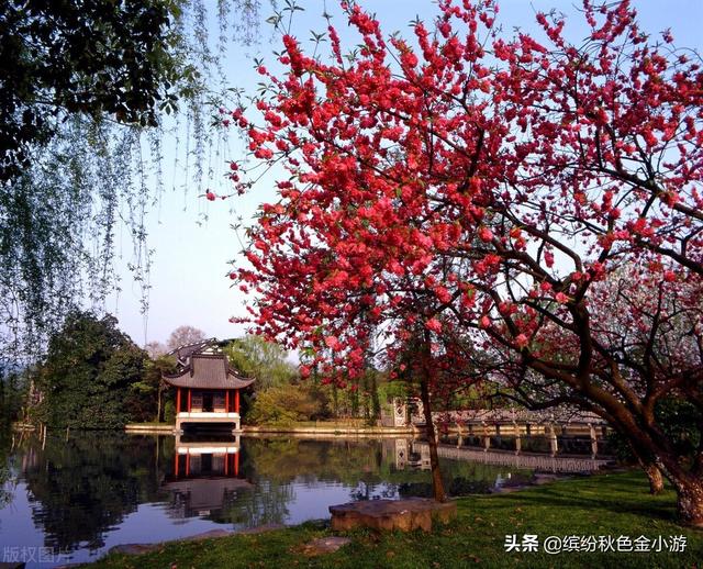 西湖十景是哪十景，不属于西湖十景的是哪一个（需走遍十景才能完整领略）