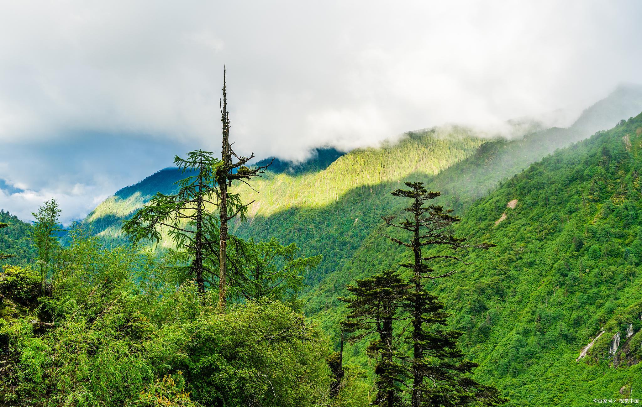 在学校里发生的事作文（校园绿色环保作文700字）