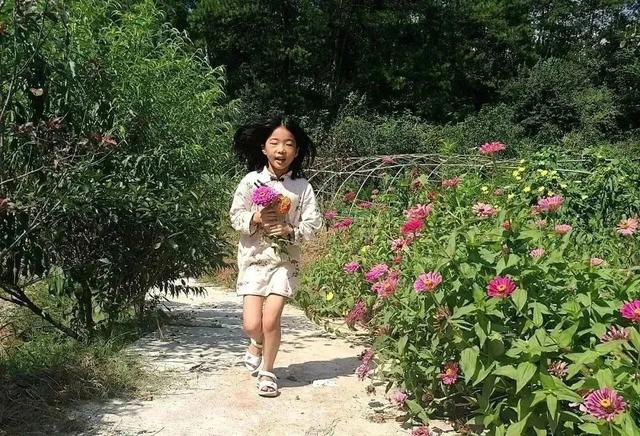 黄山旅游推荐民宿，慢品黄山烟火⑨​一亩山庄